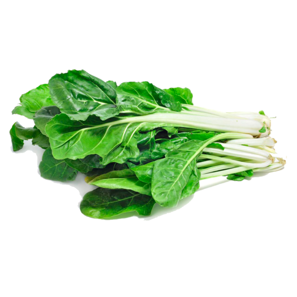 Acelga
