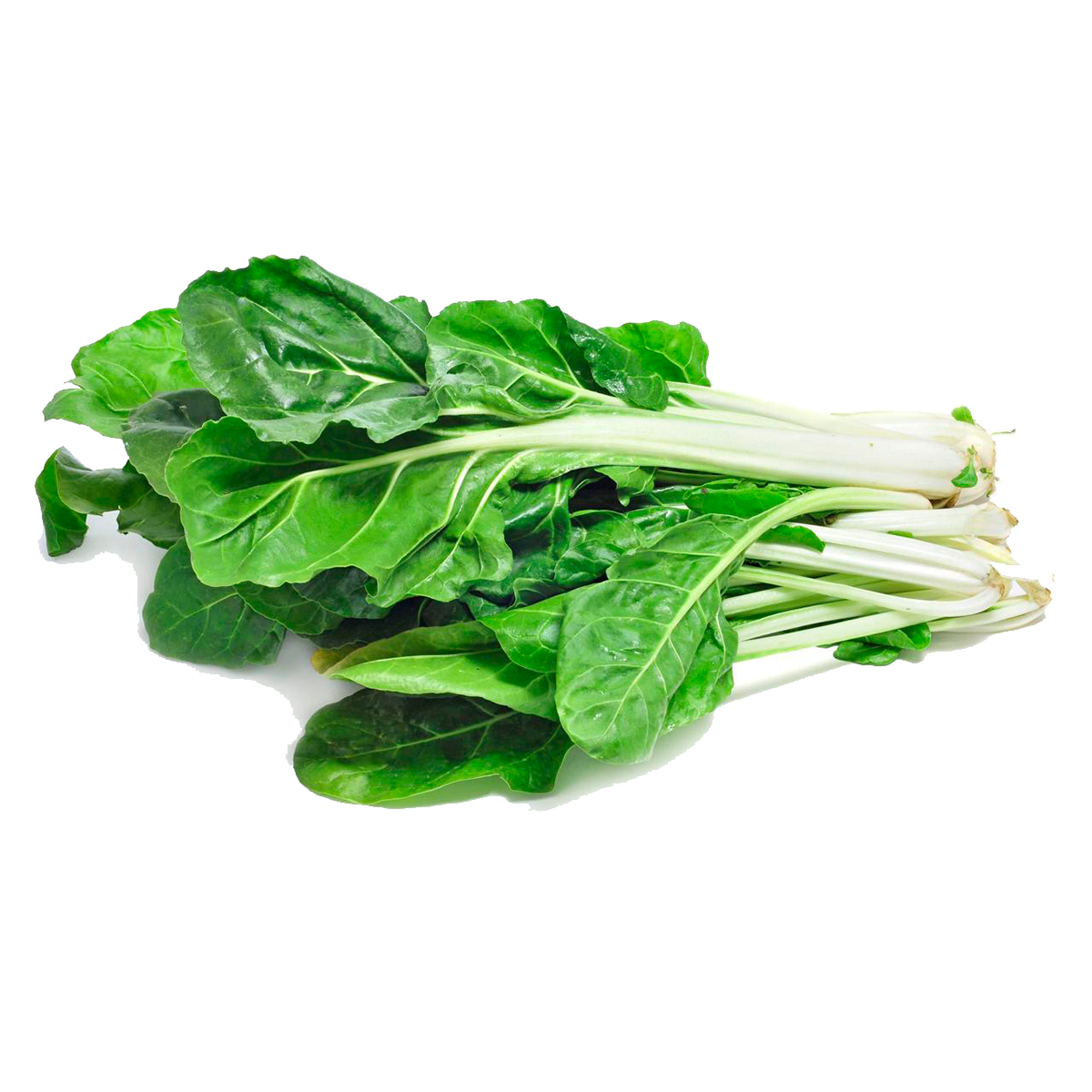 Acelga