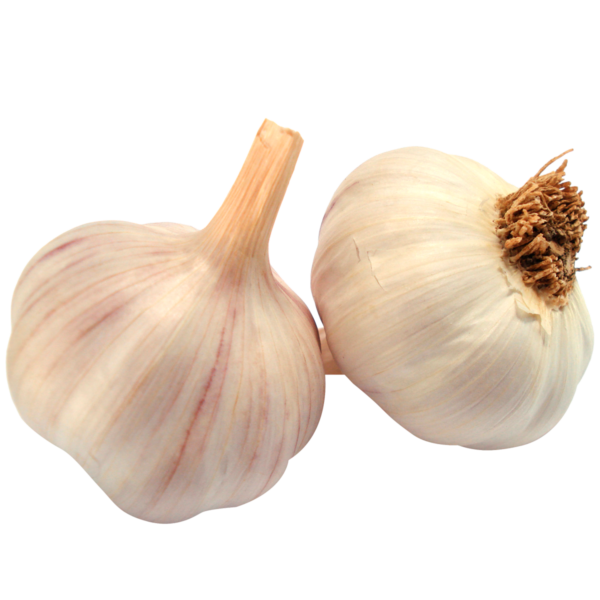 Ajo