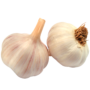 Ajo