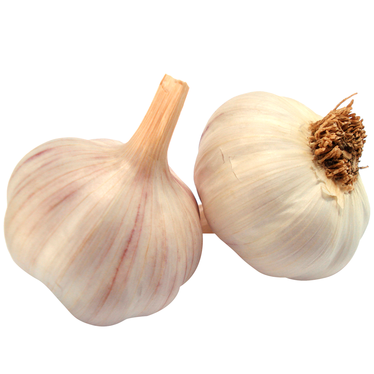 Ajo