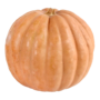 Calabaza De Castilla