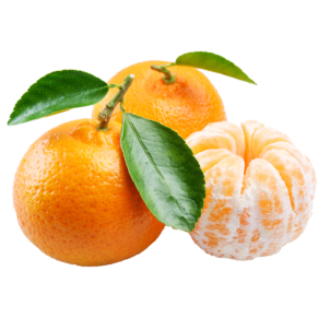 Mandarina
