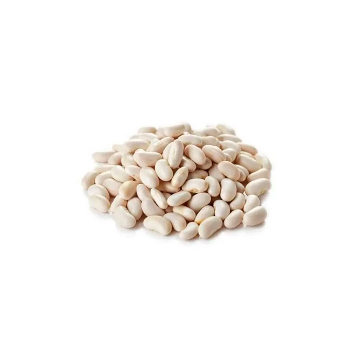 Alubia (Frijol Blanco)