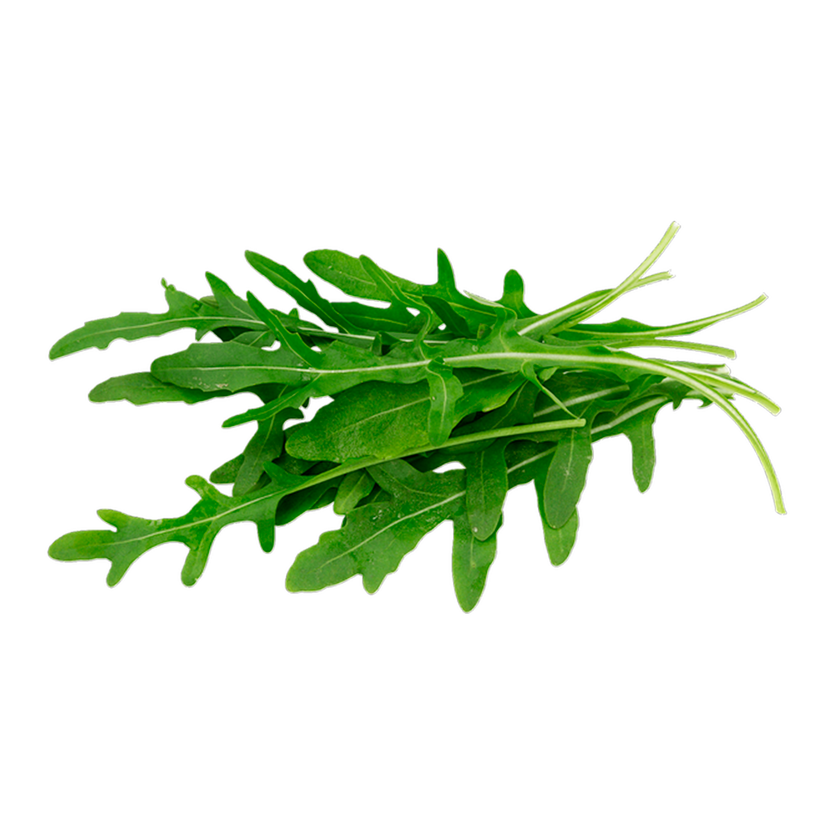 Arugula