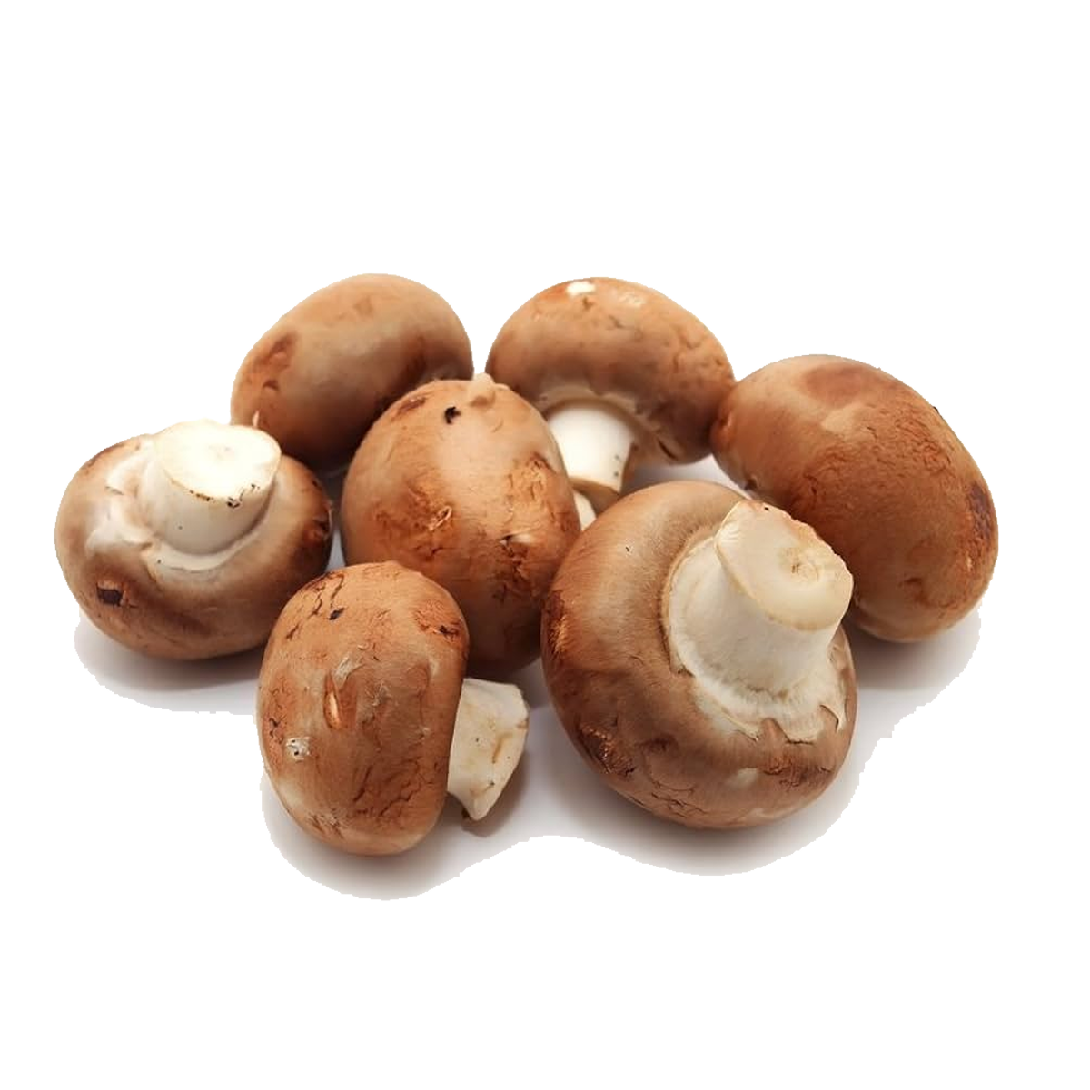 Champiñon Cremini Domo .255grs