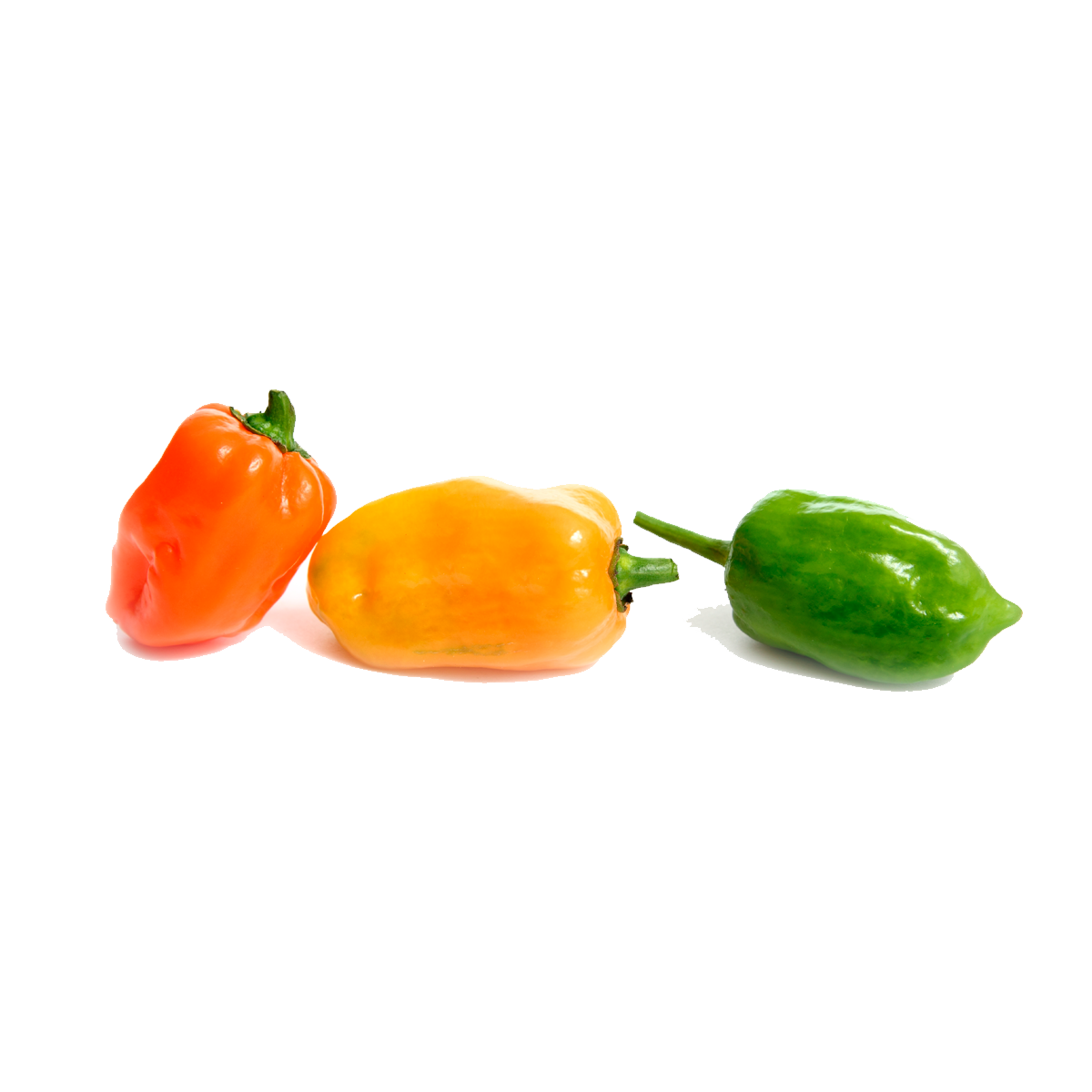 Chile Habanero Grande