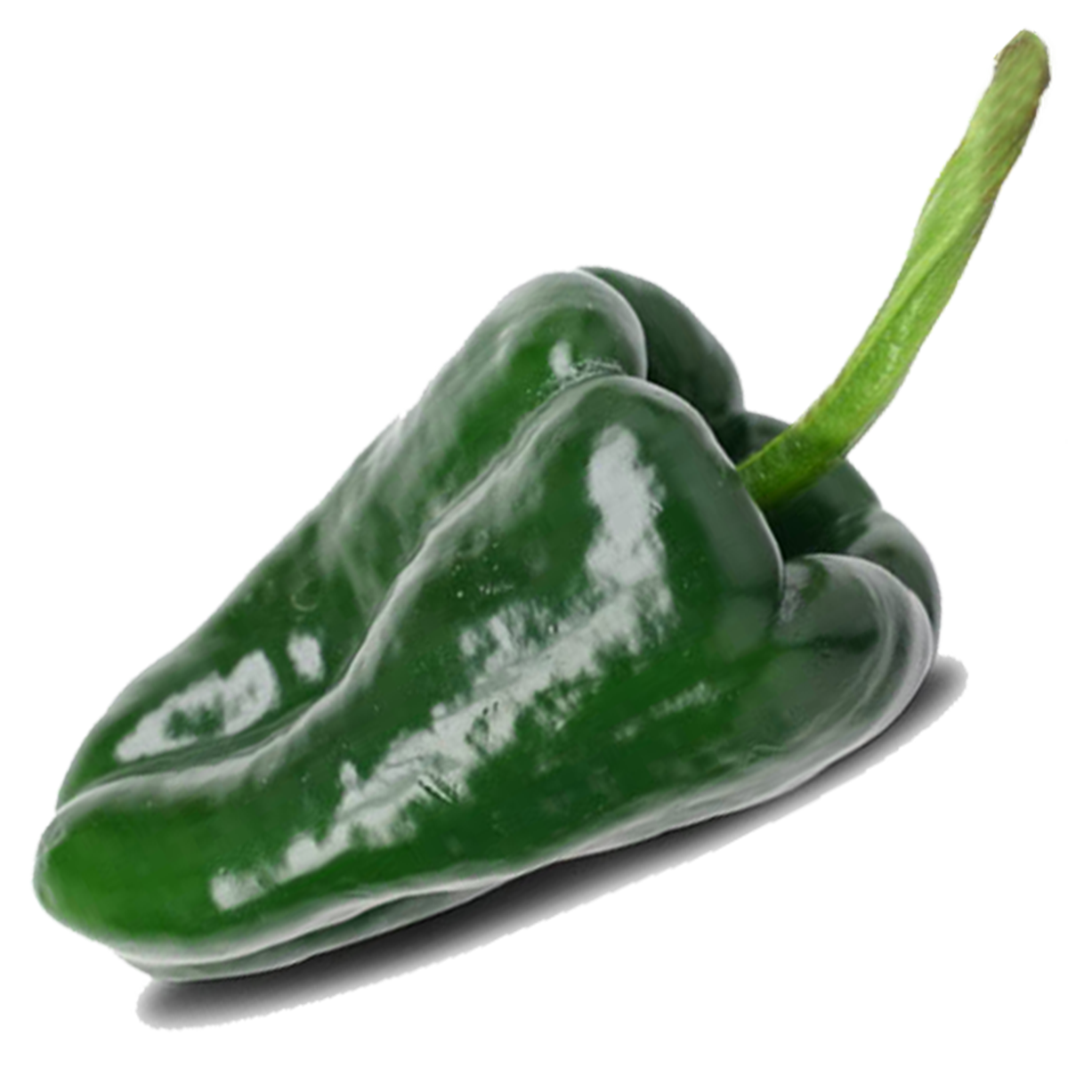 Chile Poblano
