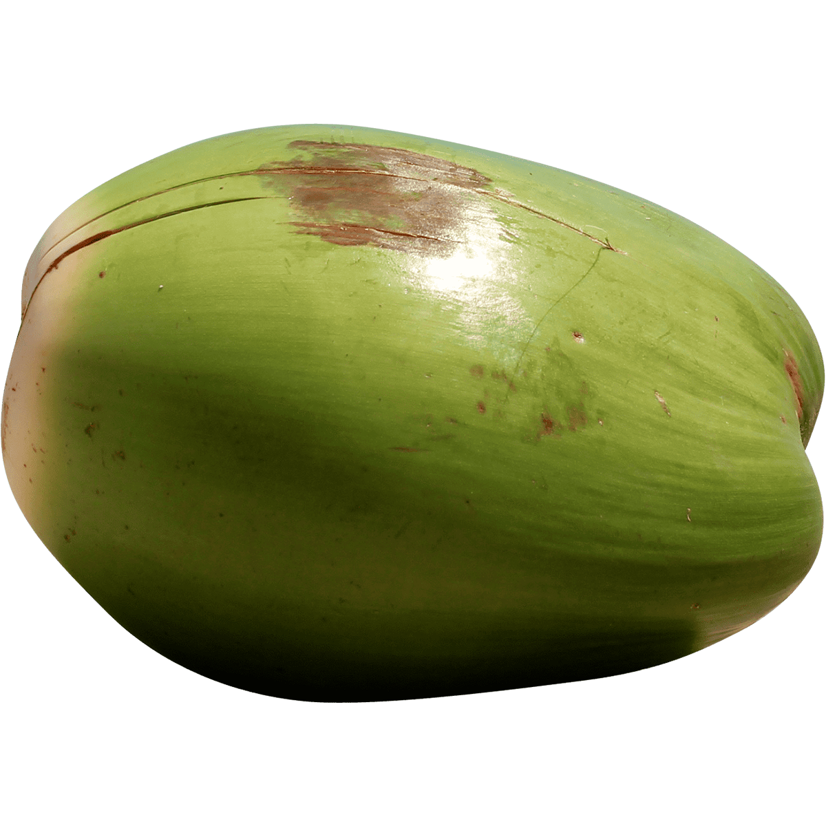 Coco Entero Verde