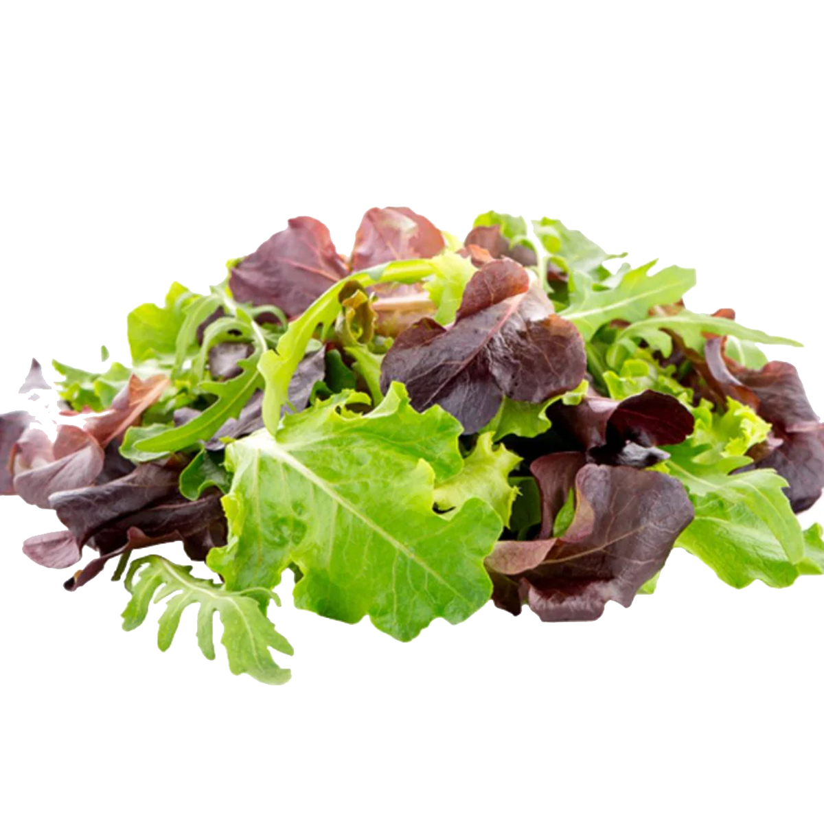 Lechuga Spring Mix