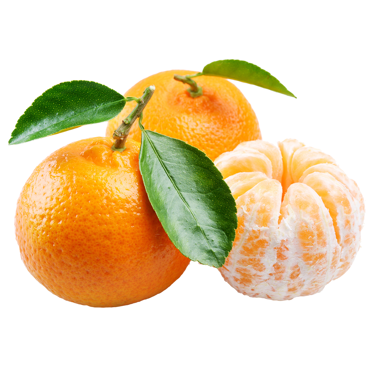 Mandarina