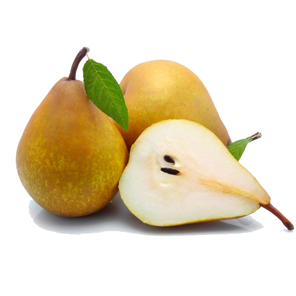 Pera Bosc