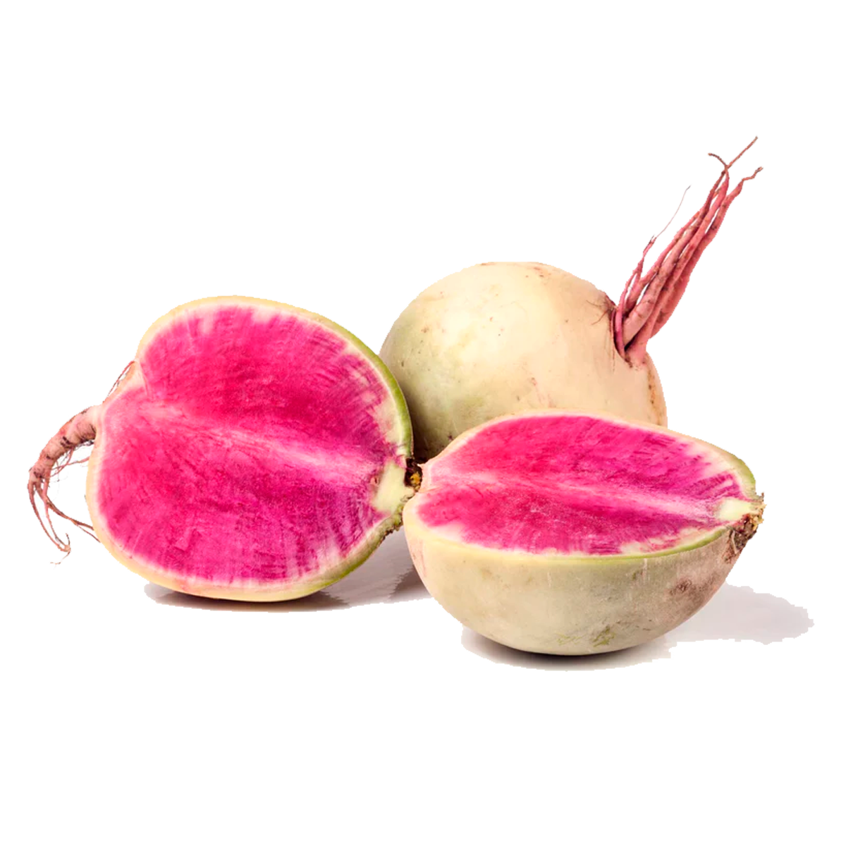 Rabano Sandia