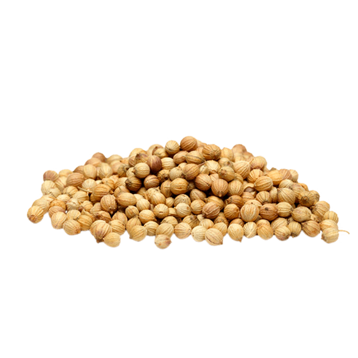 Semilla De Cilantro