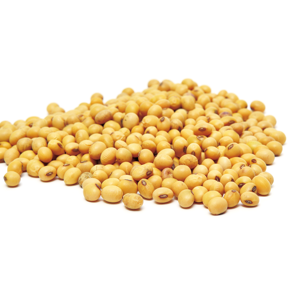 Soya