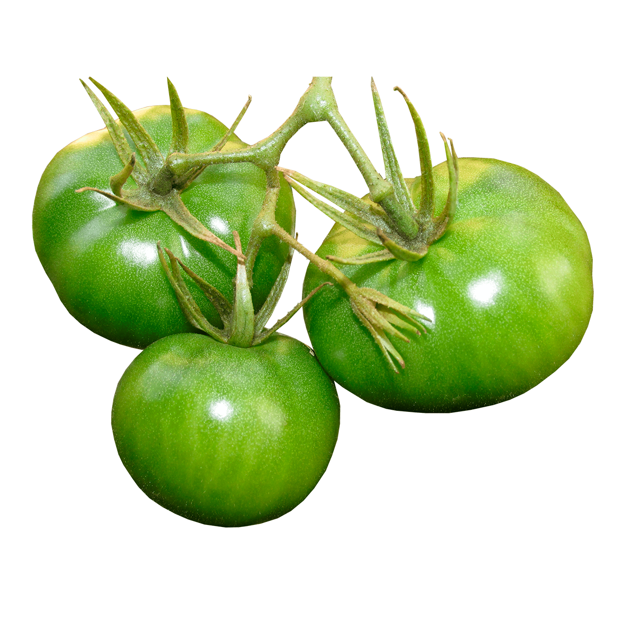 Tomate Verde Limpio