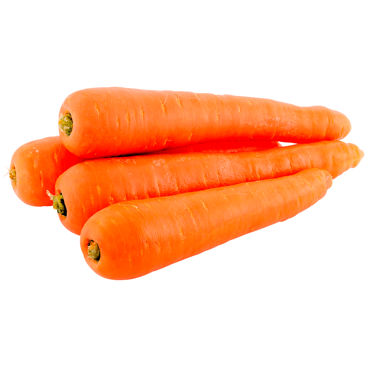 Zanahoria Mediana